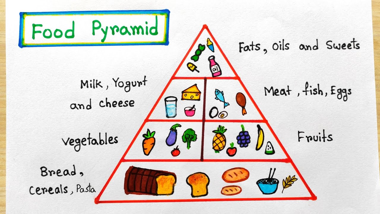 Food Pyramid 2023
